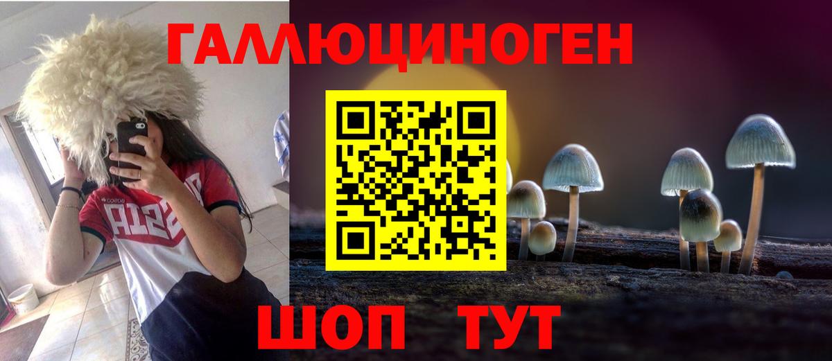 Галлюциногенные грибы GOLDEN TEACHER Корсаков