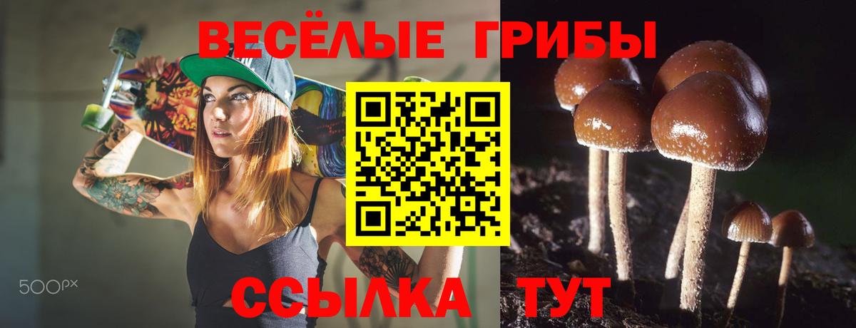 Корсаков  Псилоцибиновые грибы ЛСД  Галлюциногенные грибы мицелий  Вход с VPN 