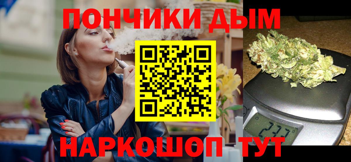 Каннабис сатива Корсаков